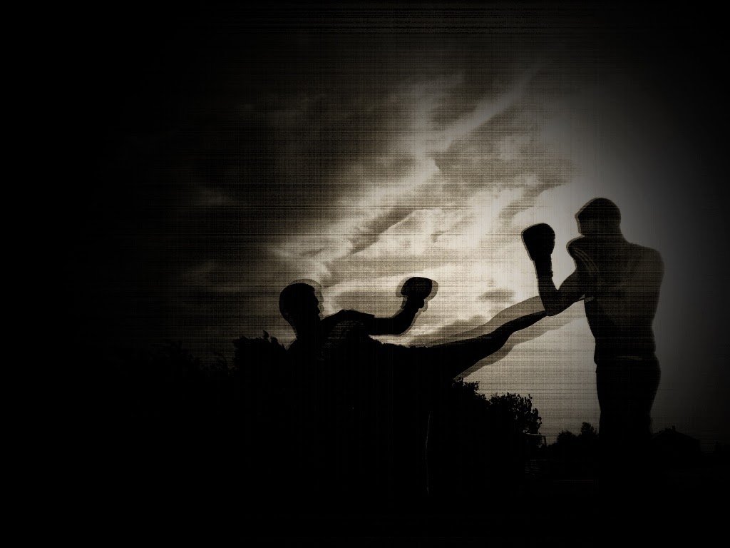 2013-06-03 022 copie fighting for